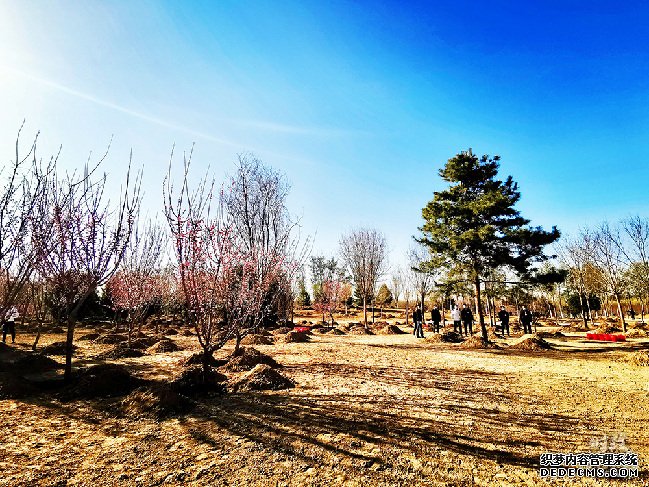 时政新闻眼丨又是一年植树时，习近平表达的这些信息不同寻常